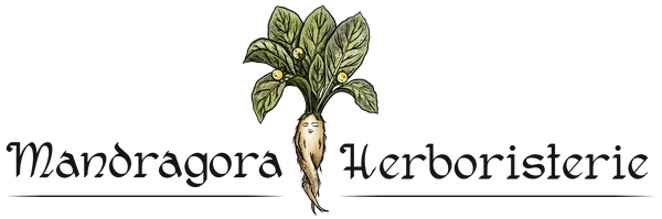 Mandragora Herboristerie